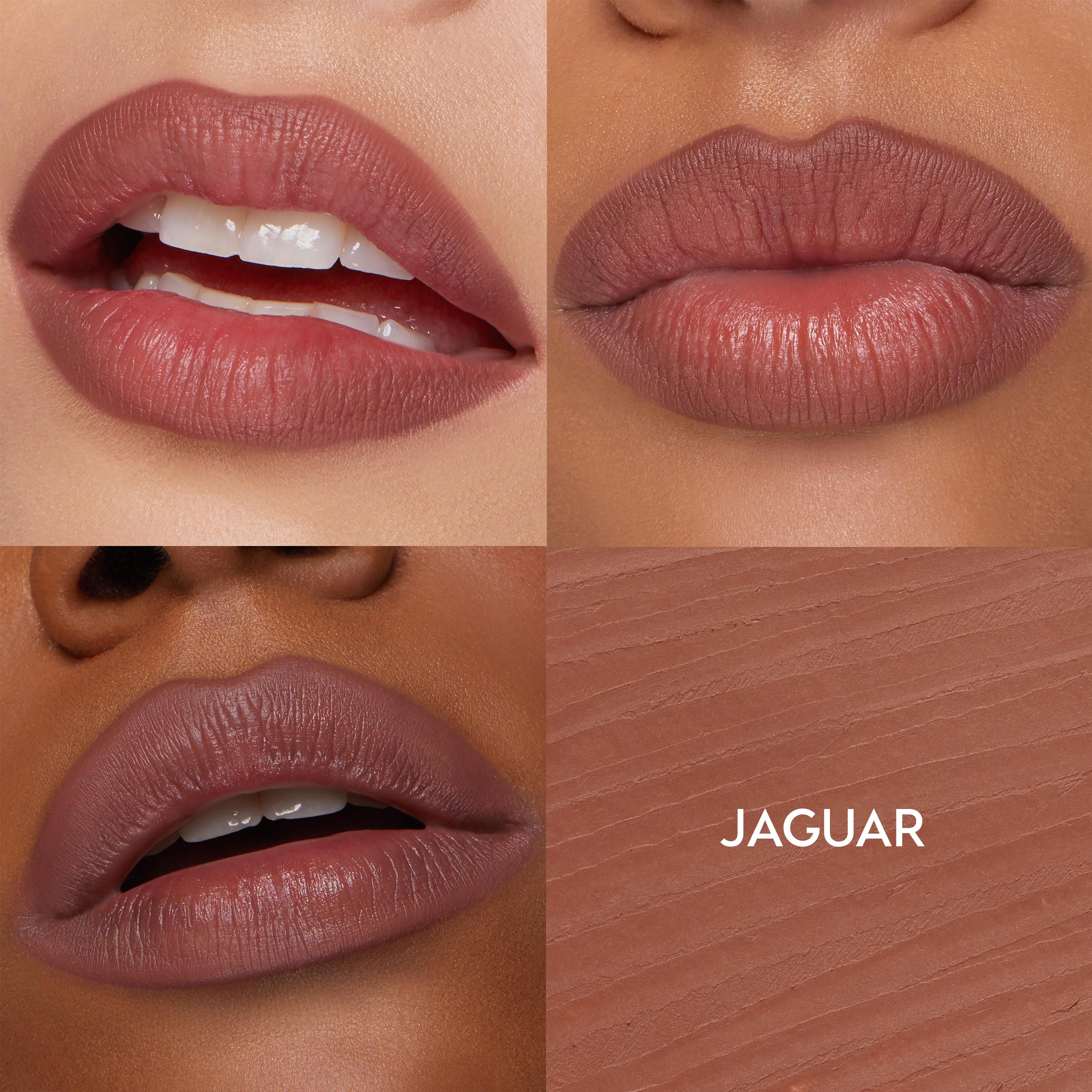 Jaguar - Image 3